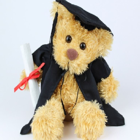 Grad Bear MK Graduation Bear image 1