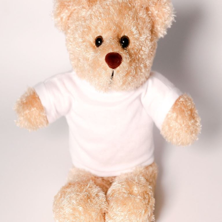 Rocky Bear with Tee Rocky Bear with Tee image 1