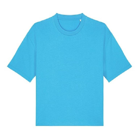 STTW175 (SX235) Nova boxy t-shirt image 1