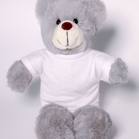 Stanley Bear with Tee Stanley Bear with Tee image 1