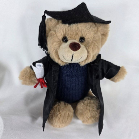 Stanley gown and jumper Stanley Grad Bear with gown and jumper image 1