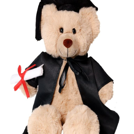 grad bear grad/tee Barty Bear with grad outfit & tee image 1