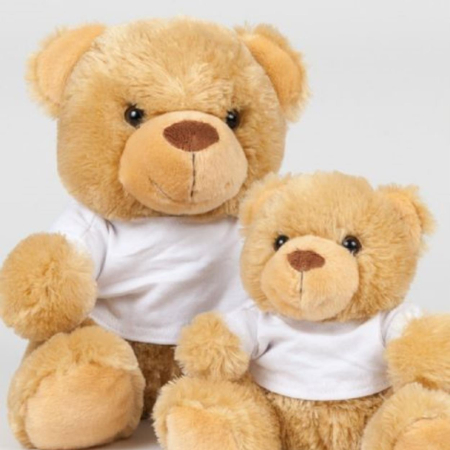 MM30 Bear In A T Shirt image 1