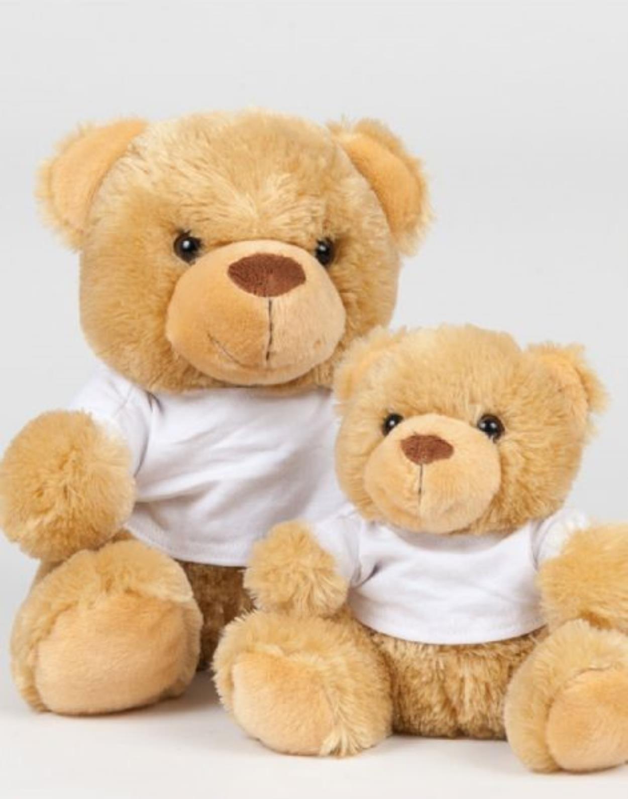 MM30 Bear In A T Shirt image 1