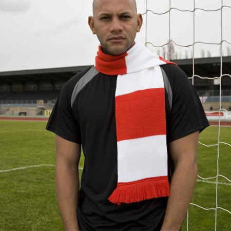 R146 Team Scarf image 1