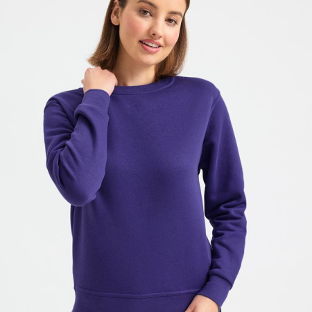 UC211 Ladies Deluxe Crew Neck Sweatshirt image 1