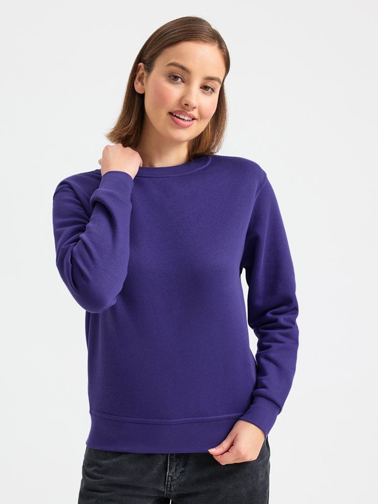 UC211 Ladies Deluxe Crew Neck Sweatshirt image 1