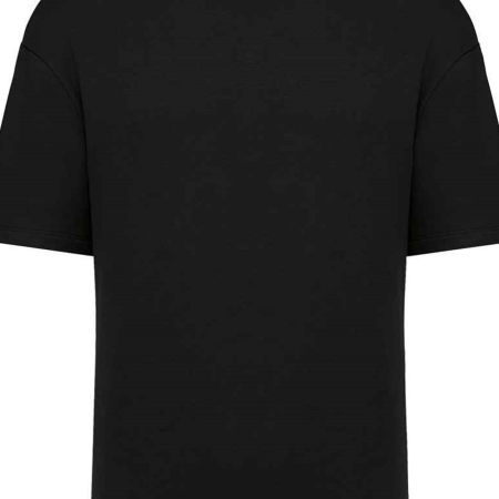 NS308 Native Spirit Unisex French Terry T-Shirt image 1
