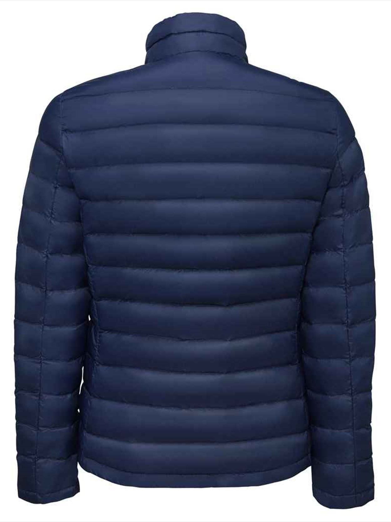 02899 Wilson Lds SOL'S Ladies Wilson Lightweight Padded Jacket image 2