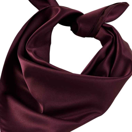 03205 Tara NEOBLU Tara Satin Scarf image 1