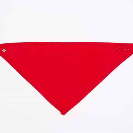 BZ23 BabyBugz Bandana Bib image 1