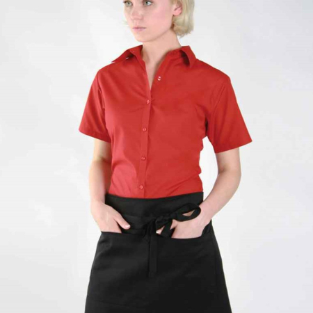 DE123 DP37C Dennys Bar Apron with Pocket image 1