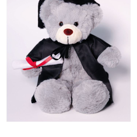 JSW MK Stanley Bear JSW MK Stanley Bear image 1