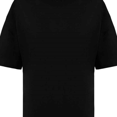 NS313 Native Spirit Ladies Oversized T-Shirt image 1