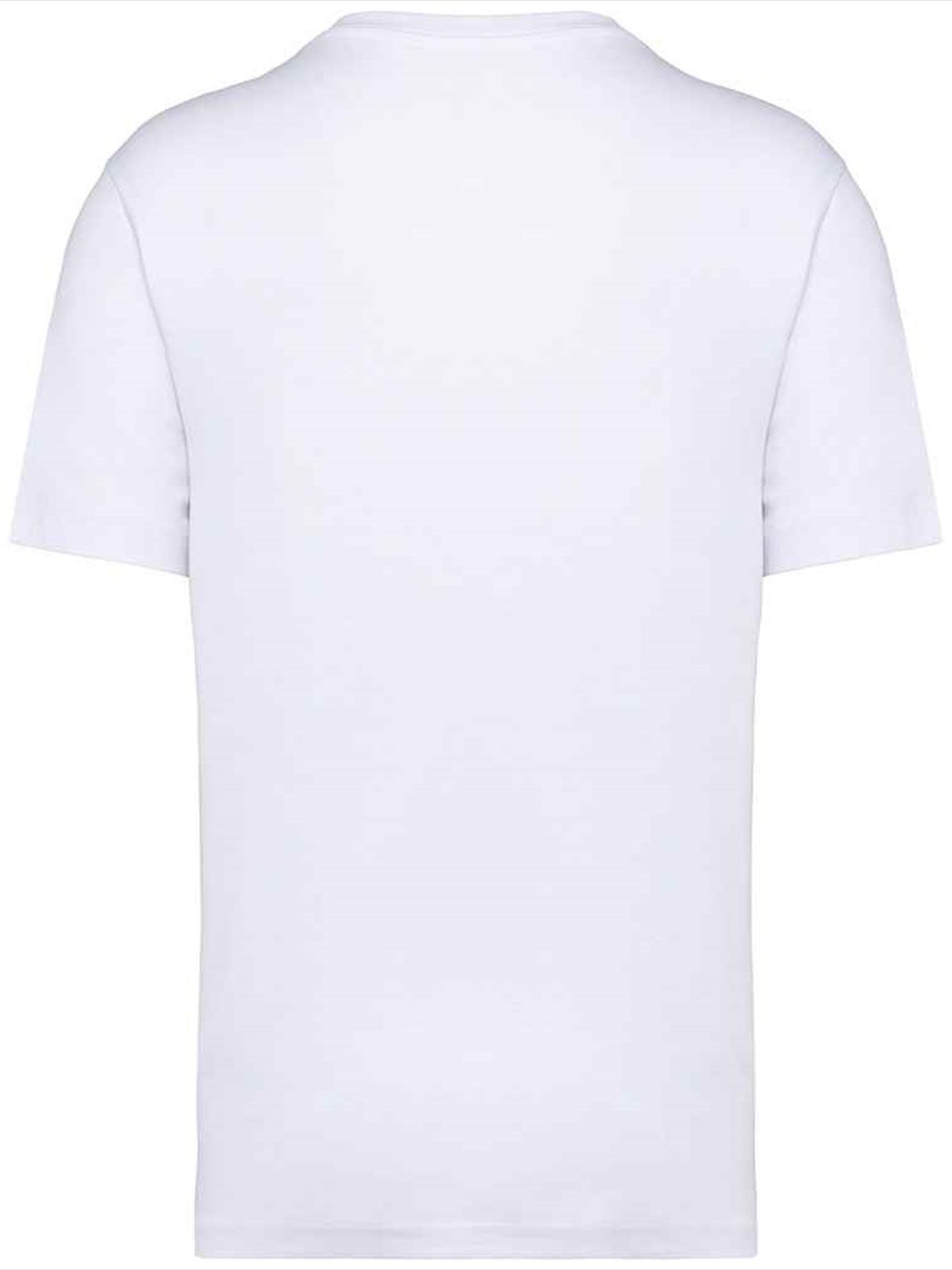 NS332 Native Spirit Oversized T-Shirt image 2