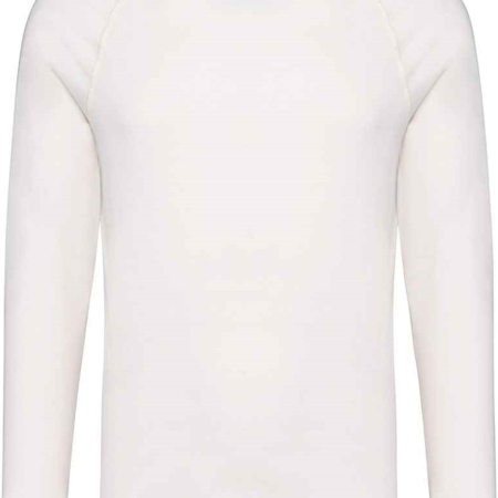 NS338 Native Spirit Raglan Long Sleeve Washed T-Shirt image 1