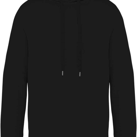 NS416 Native Spirit Unisex Terry 280 Hoodie image 1