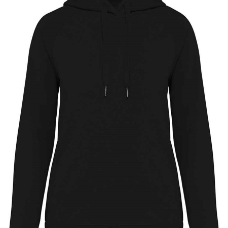 NS422 Native Spirit Ladies Raglan Sleeve Hoodie image 1