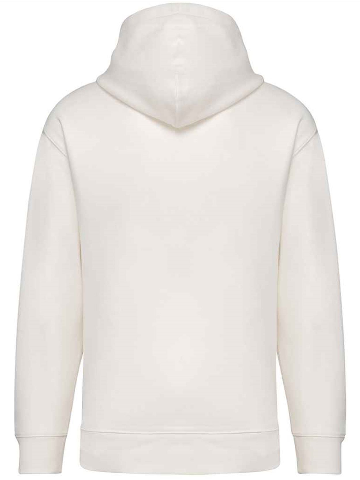 NS431 Native Spirit Unisex French Terry Hoodie image 2