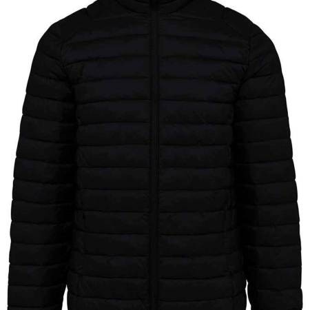 NS6000 Native Spirit Lightweight Recycled Padded Jacket image 1