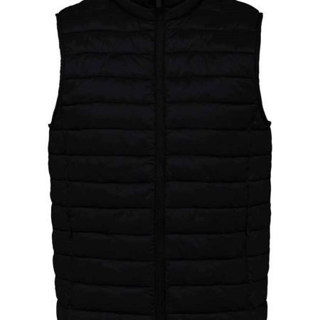 NS6005 Native Spirit Light Recycled Bodywarmer image 1