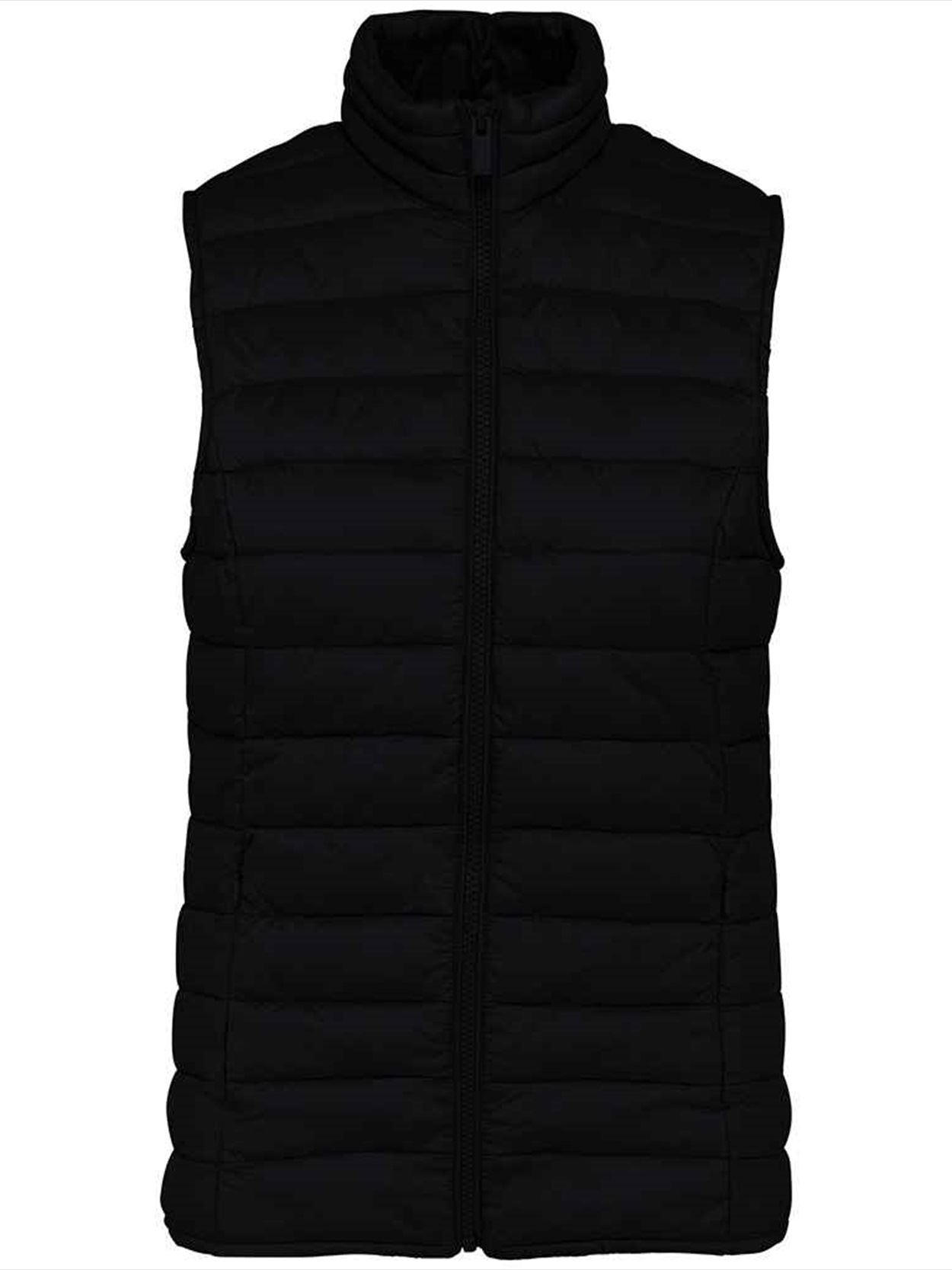 NS6006 Native Spirit Ladies Light Recycled Bodywarmer image 1