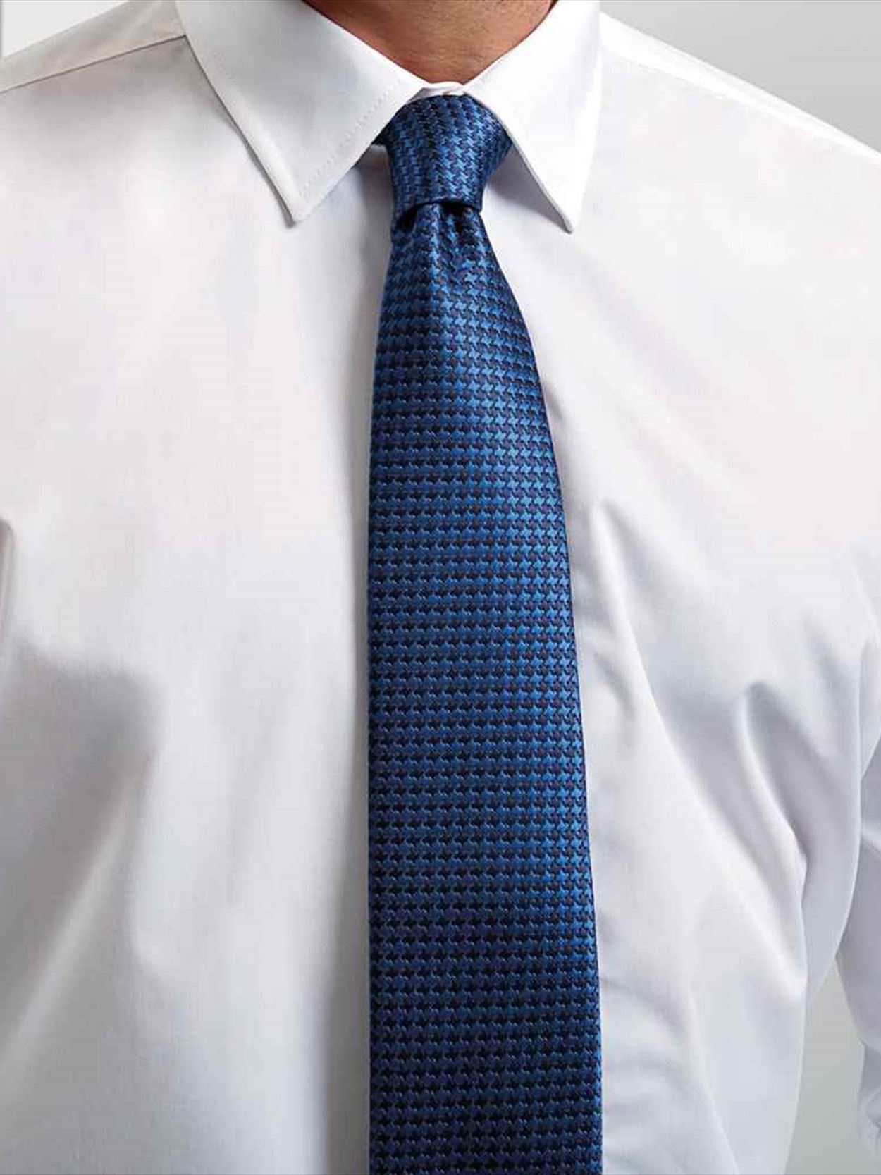 PR787 Premier Puppy Tooth Tie image 1