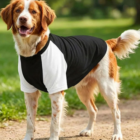 RAL-PP001 Dog’s raglan t-shirt image 1