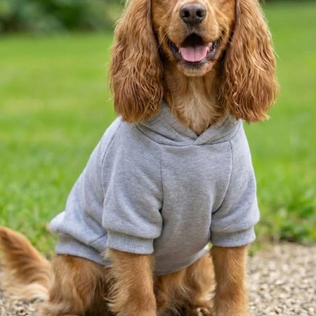 RAL-PP002 Dog’s hoodie image 1