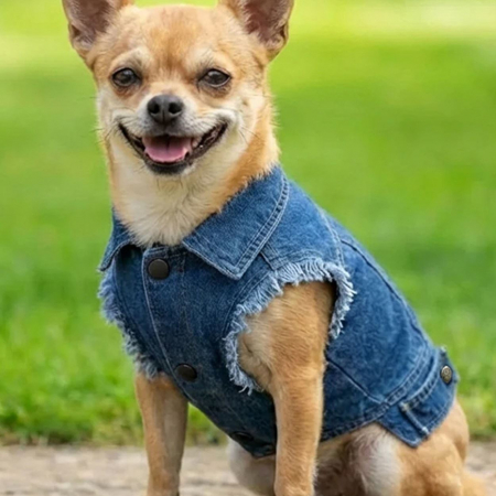 RAL-PP003 Dog’s denim jacket image 1
