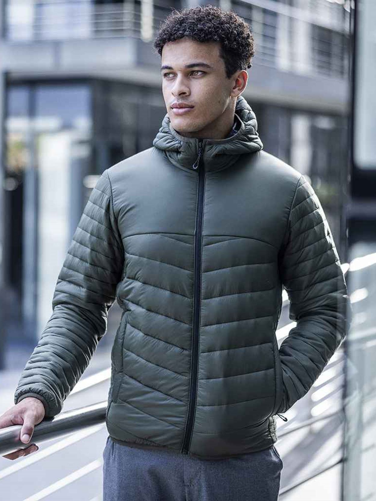 RG830 TRA964 Regatta Loftlite Hooded Baffle Jacket image 1