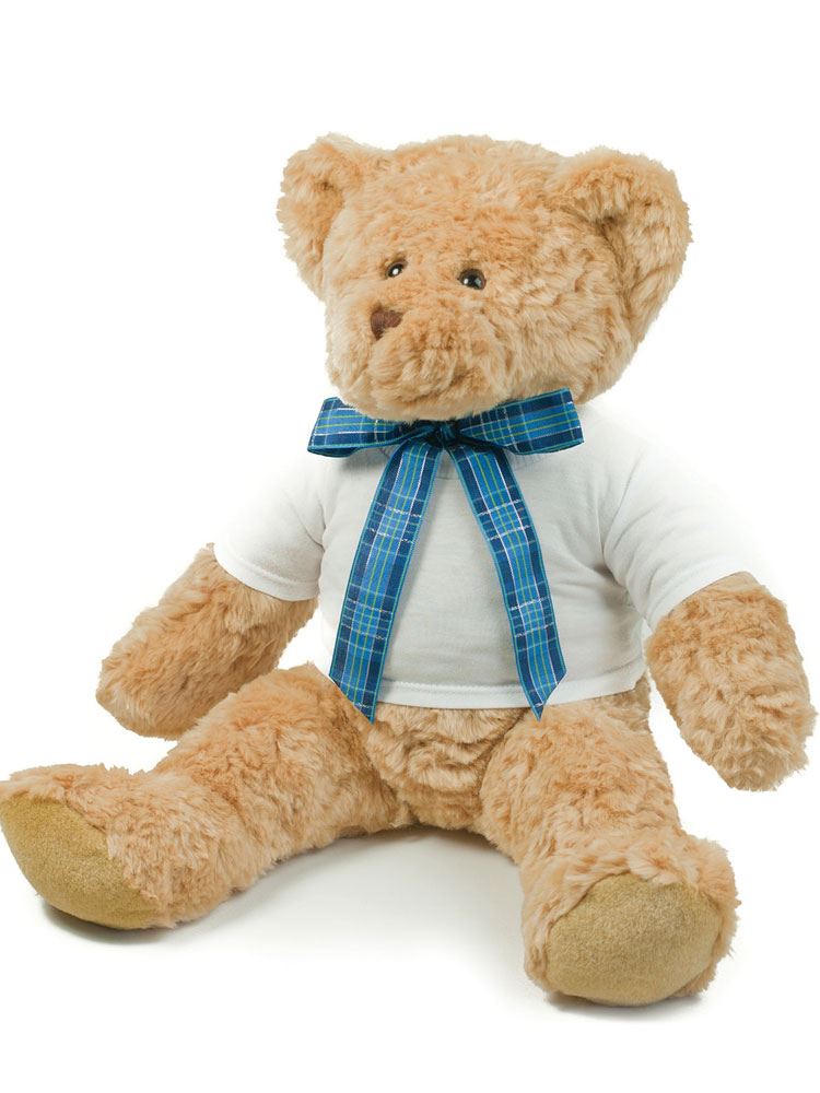 MM71 Mumbles Teddy T Shirt image 2